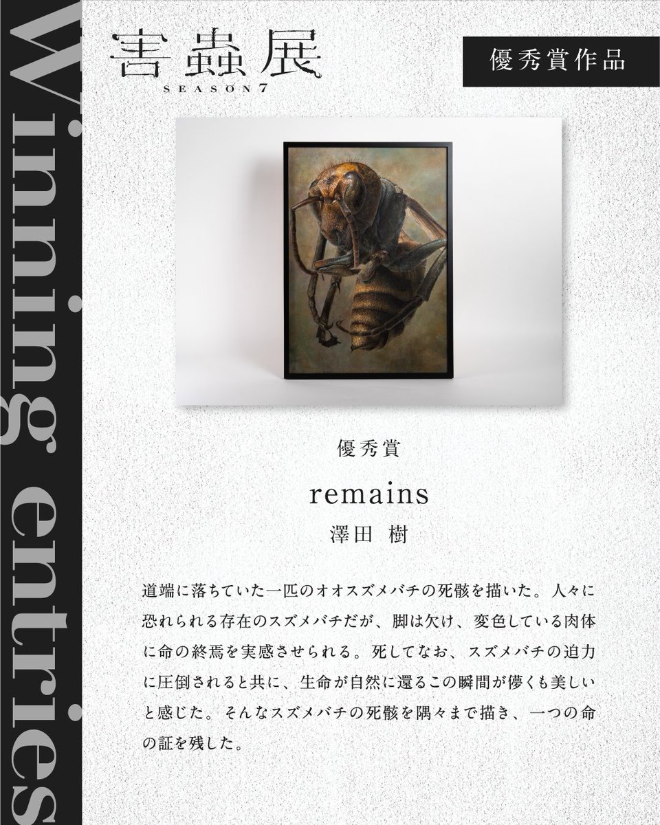 8thCAL_exhibi's tweet photo. 【優秀賞作品の紹介】
害蟲展 season7

remains
澤田 樹

#害蟲展 #害蟲展season7
#ワルモノにされたイキモノたち
#生物多様性 #共生 #アートと社会 #環境を考える https://t.co/j4gUK6VX6D