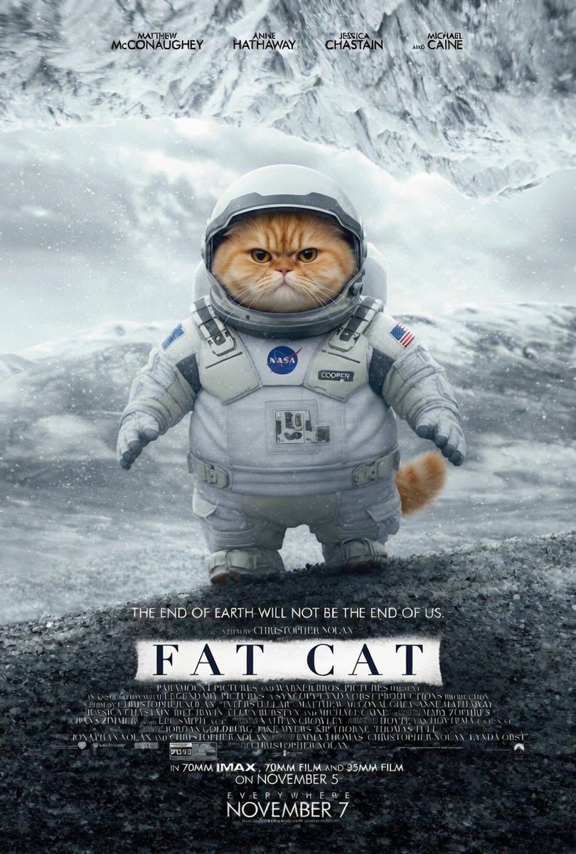JustJay89144197's tweet photo. $fatcat https://t.co/XDZ1yn0O6X