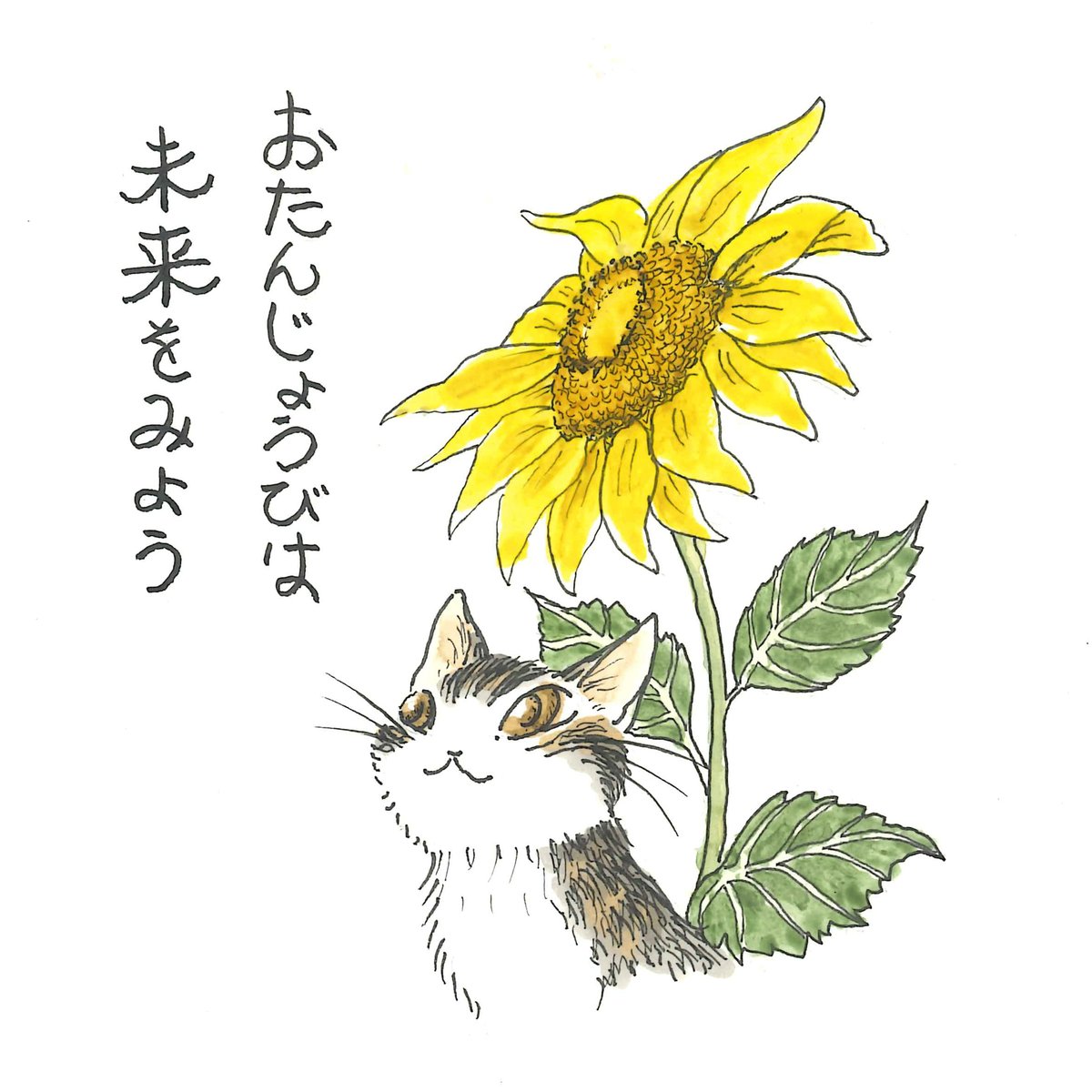 株式会社わちふぃーるど (@wachifield_com) / Posts / X