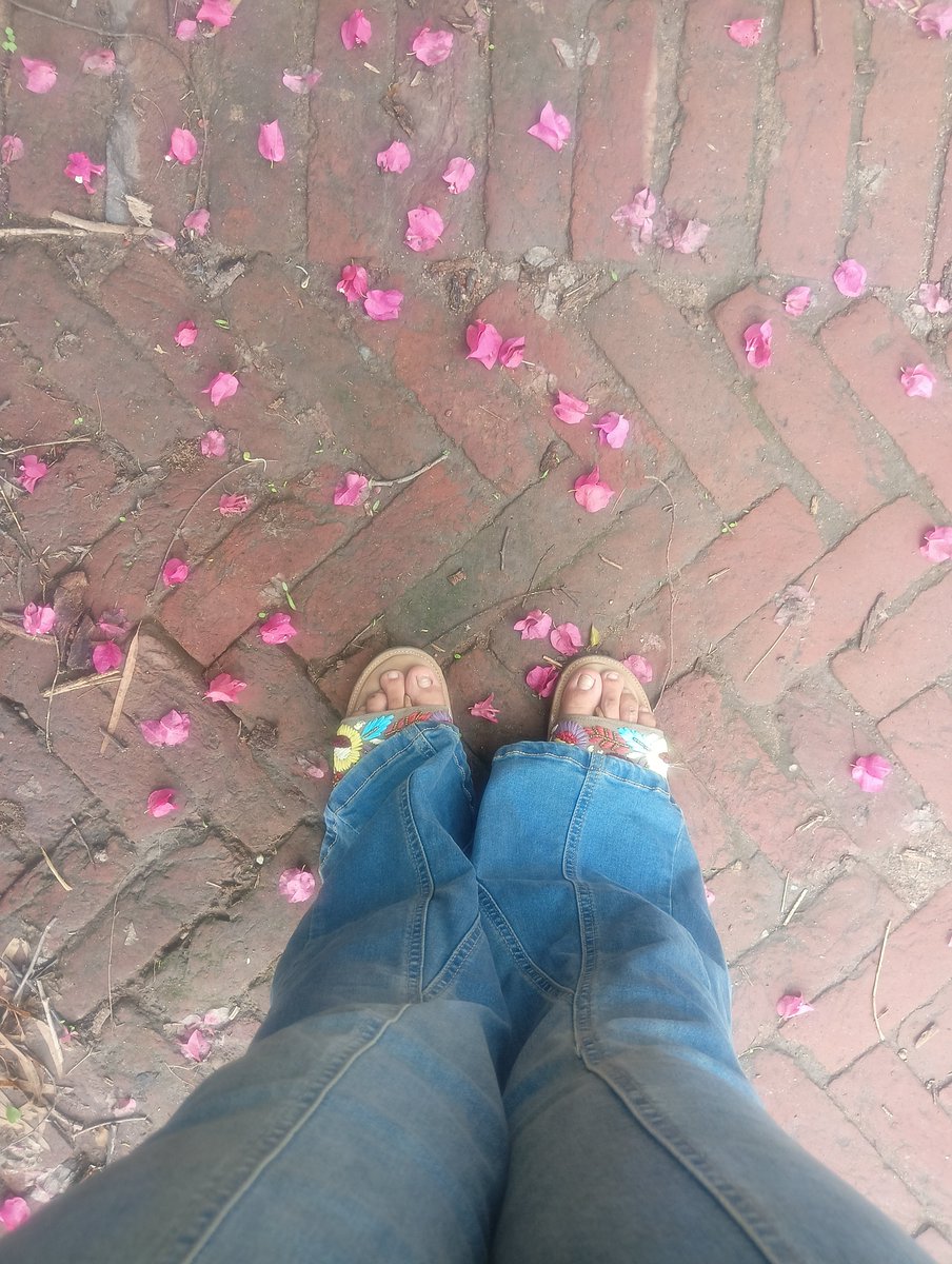 elinathefairy_'s tweet photo. beginning my morning with a blossom-laden path because i'm a fairy and the nature loves me https://t.co/kpltJdNs2e