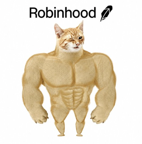 notrickflair's tweet photo. @vladtenev robinhood mogging rn https://t.co/IO9YOciYOA