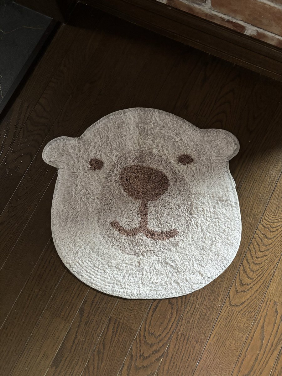 NoSnow_NoLife_'s tweet photo. #シロクマ好き https://t.co/8yyIsFG5sl