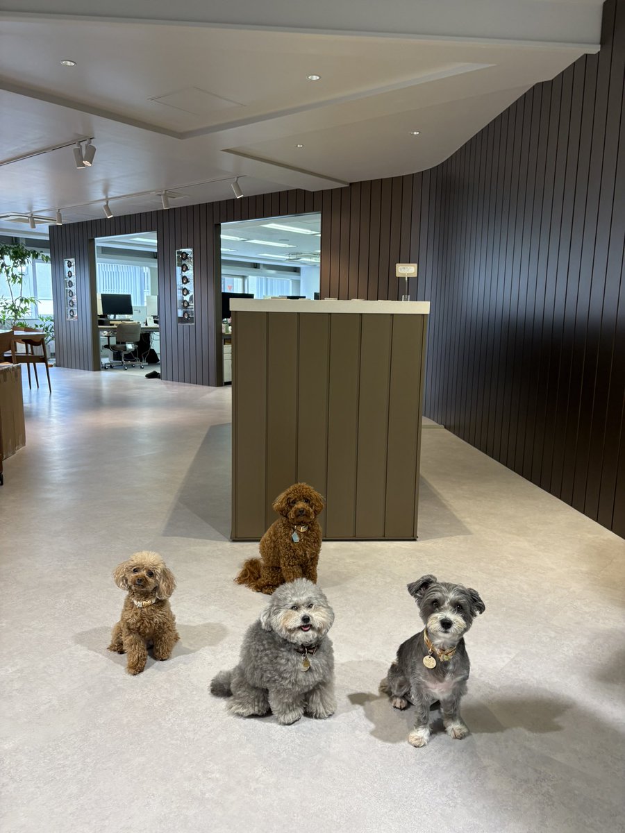 franky_dogs's tweet photo. 本日も、こちらの4名が揃いました!

#オフィス警備隊 https://t.co/f96XZ7z0ra