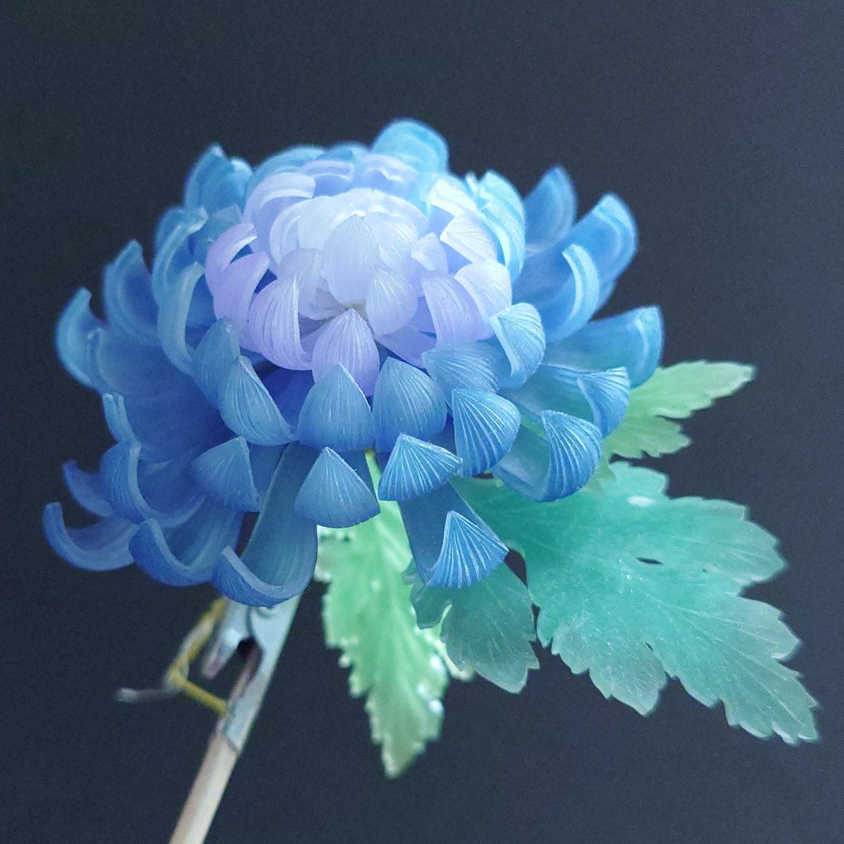himemomo1808's tweet photo. #これを見た人は無言で青が入っている画像を貼れ https://t.co/IpKfcvAqEq