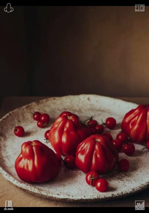 mz629's tweet photo. Elara nodded, gazing at the garden—the wisteria on the walls, the tall plum tree, and the children playing in the sun. “It’s not just us,” she remarked. “It’s Lilias and Wei, Mr. Chen, Clara, and everyone picking peaches to make jam.” https://t.co/I9Lx6NsqeX