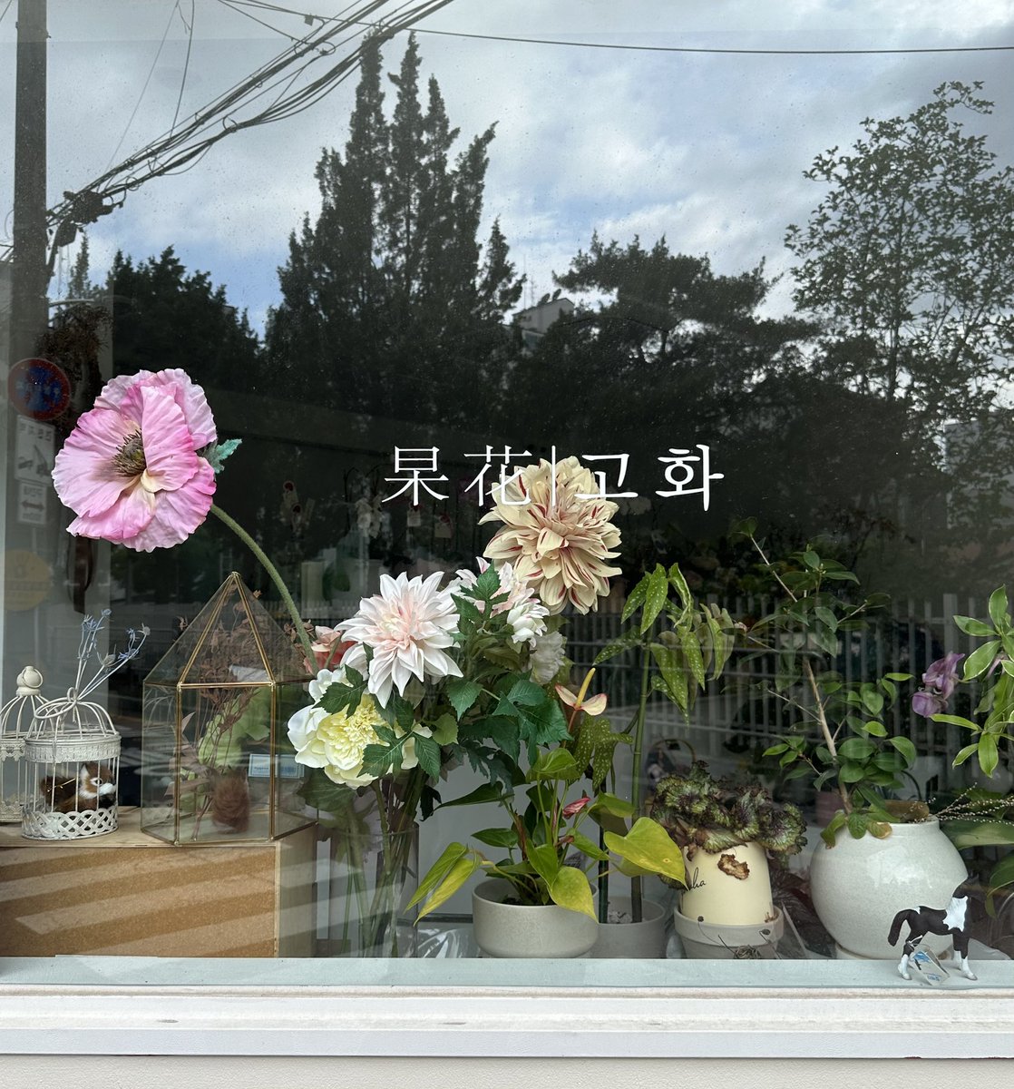 aechul's tweet photo. https://t.co/HJJ7RMRQLp