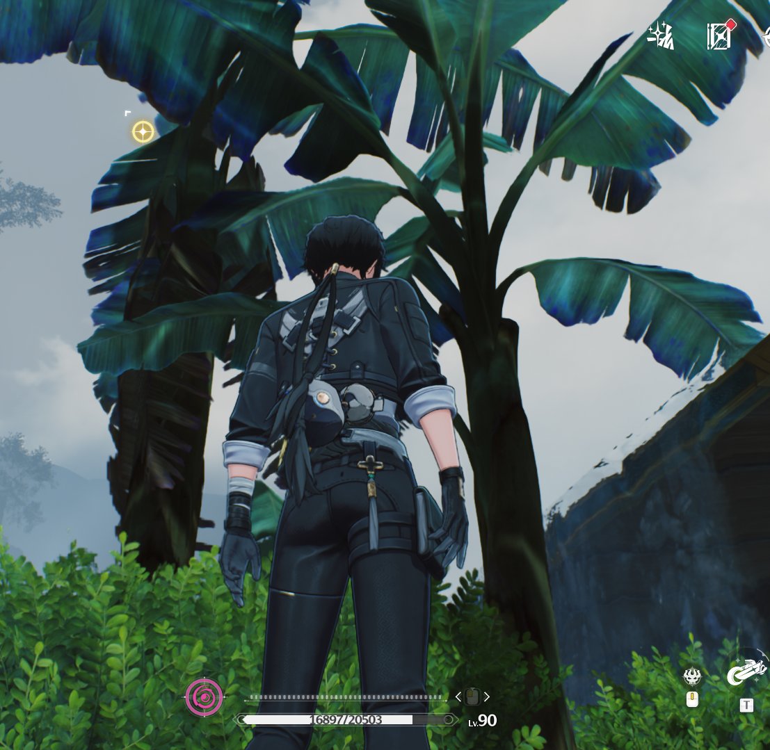 sinseijuice's tweet photo. No one can describe the simple joy I felt seeing we now have bananas in wuwa https://t.co/8KPoZiXzpj