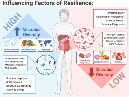 Microbiome2027's tweet photo. 🦠 Can your gut microbiome influence cancer treatment success?

🔗 : https://t.co/D1Usb0bU2m

#Microbiome #CancerResearch #CancerImmunotherapy #GutMicrobiome #PrecisionMedicine #Oncology #MicrobiomeResearch #Immunotherapy #GlobalMicrobiomeCongress #Boston2027 #CallForAbstracts https://t.co/01LGpWMA0M