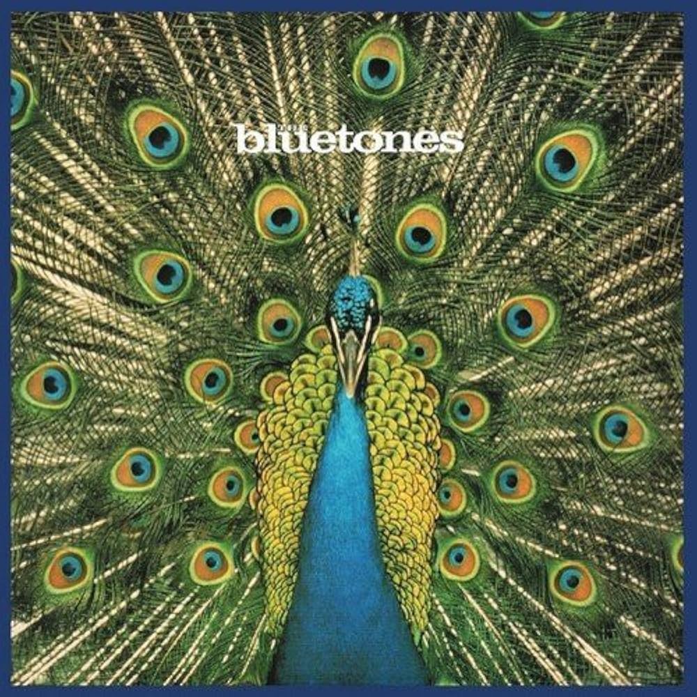 hueee's tweet photo. 妻の新しいヘアクリップを見て、20数年ぶりにThe Bluetonesを聴いた https://t.co/4LrUIKj9qN