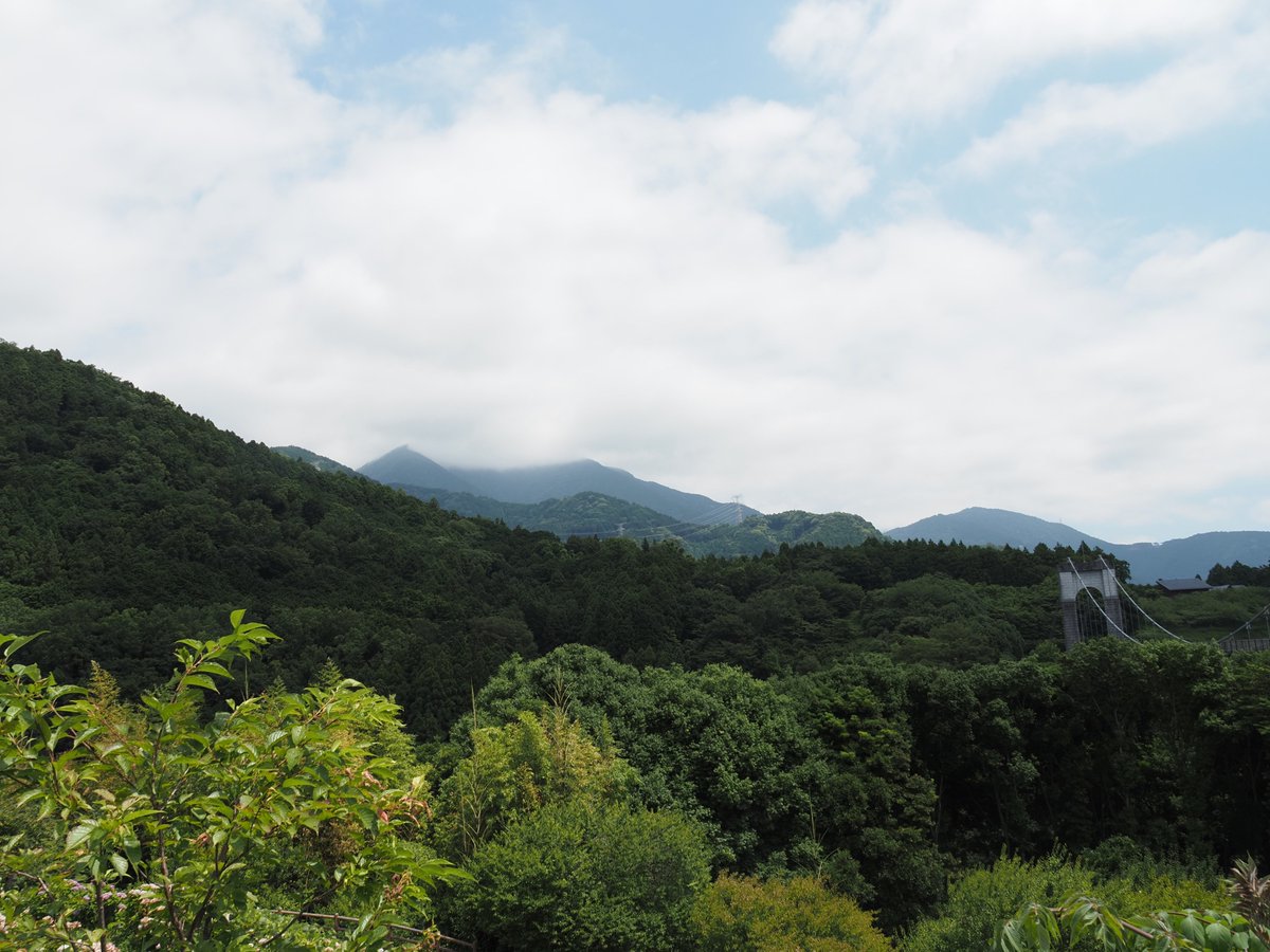 HadanoVC's tweet photo. 8時40分の気温25.9度 晴れ
朝のうちは青空の下、丹沢の山々がよく見えていましたが、だんだんと雲が広がってきました。
秦野戸川公園内の自然観察の池に行くと、数匹の #オオシオカラトンボ が飛び交っていました。オスは水色っぽく、メスは黄色と黒の模様。交尾しながら飛び回る姿も見られました。 https://t.co/N3kpiUZnRT