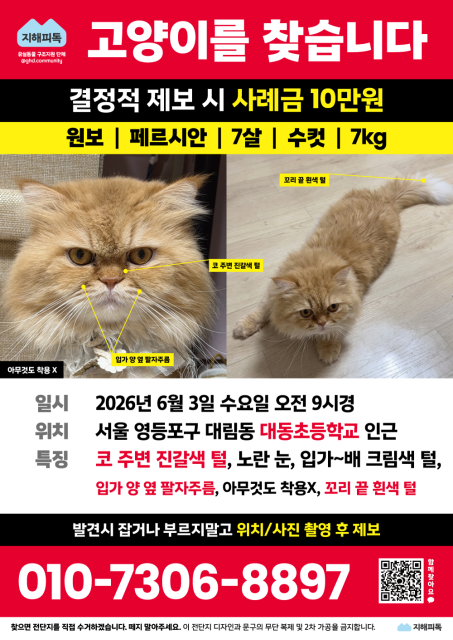 nomorelostpets's tweet photo. 고양이 이름은 원보입니다!
보호자분이 한국어를 거의 못 하세요
혹시 제보 있으면 지해피독 단톡방으로 알려주시거나
주인분께 문자로 연락하시면
번역기 써서 소통하실 수 있어요 https://t.co/3NXcyUfwhj