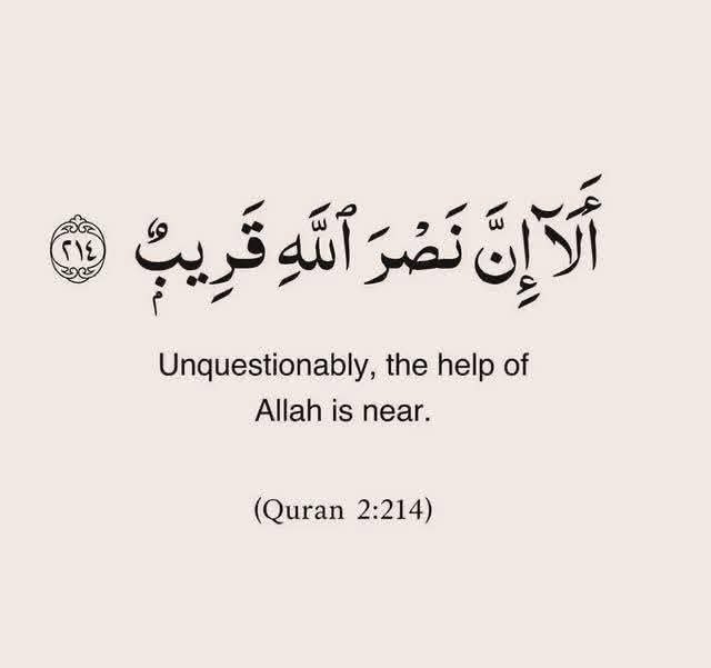 Shehu Uthmaan👳🏻♂️⚙️ tweet media