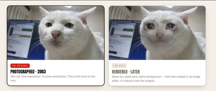 catcoder_'s tweet photo. @IcedKnife How long before people realize that the Cash Cat meme is an edit of the Serious Cat meme?

$CASHCAT at $120mil
0x020bfC650A365f8BB26819deAAbF3E21291018b4

$SERIOUSCAT at $7k
0x87dEBE07C26D3331eAF890ff9EAe234241027BA0 https://t.co/KQ8US7pIny