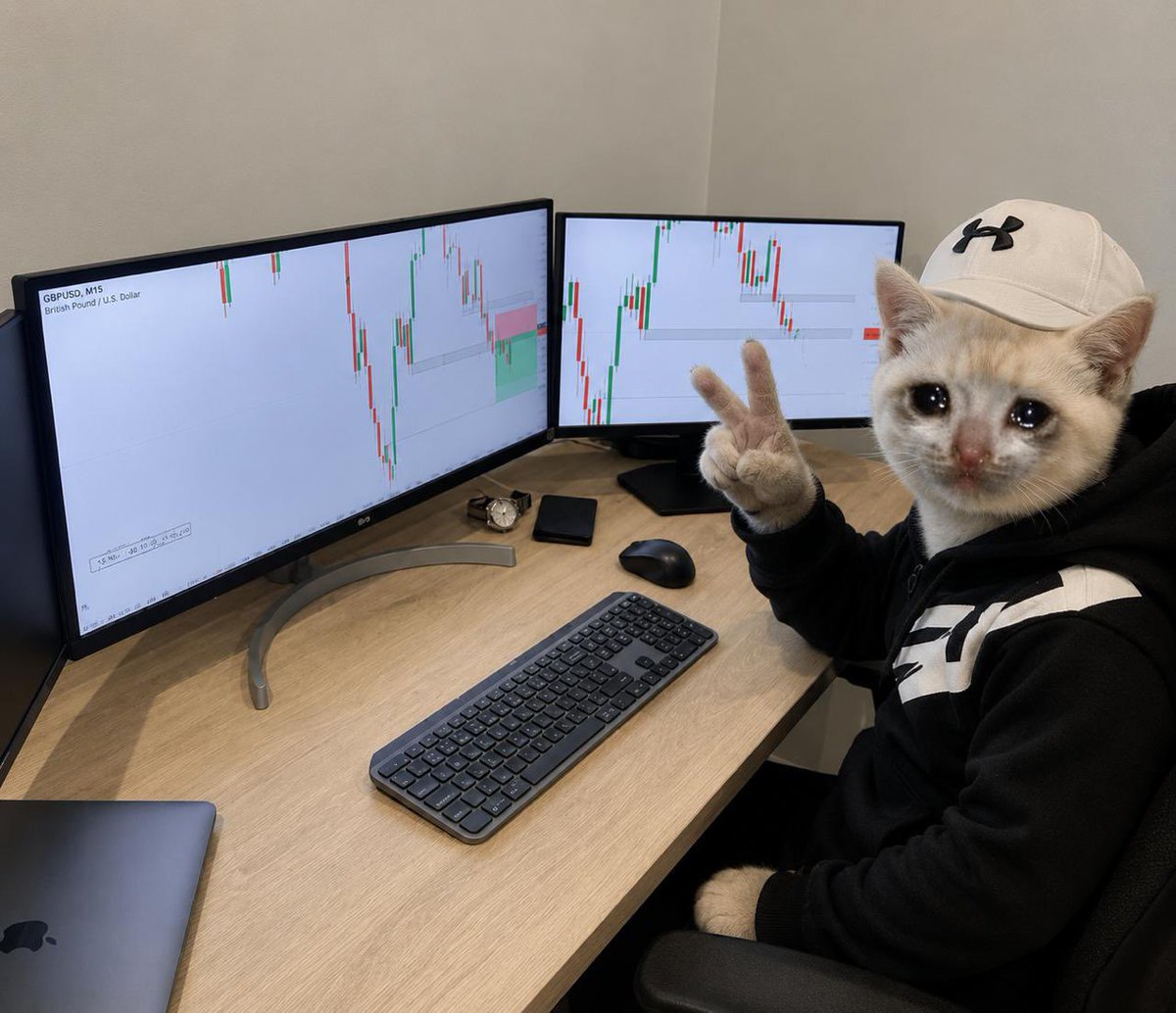 Cashkitten_RH's tweet photo. $CASHKITTEN was a degen before he became $CASHCAT. https://t.co/BDWtTcAv2J