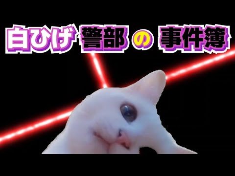 MinoruKudou's tweet photo. @photomoriken 📺🎥金曜ミステリー？🚨「路地裏 通り魔 無差別 猫殺」事件現場🚔 https://t.co/CCVGTp8M8w