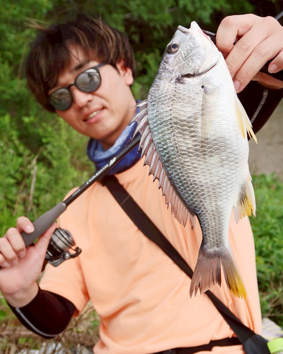 もりぞー (@morizo57) / Posts / X