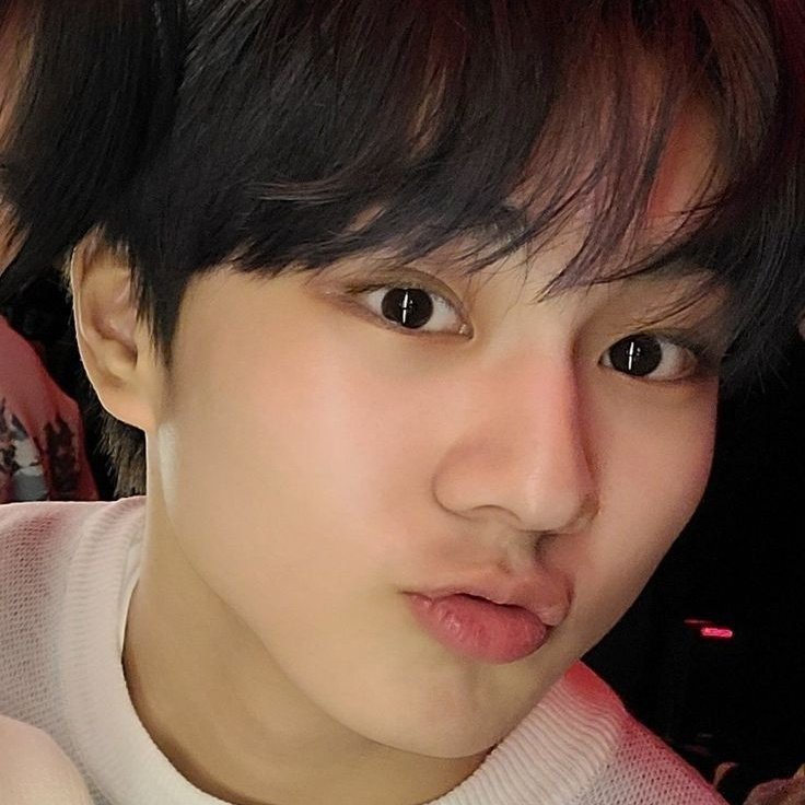 wonchu ୨୧ tweet media