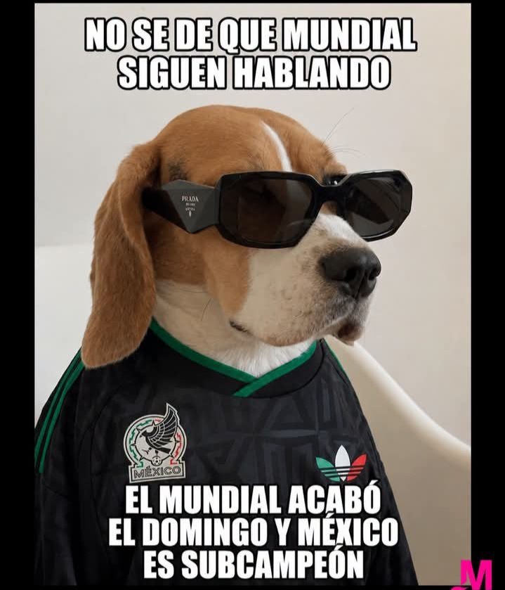 Alocobond's tweet photo. A Chi es! https://t.co/xRlXHlzVV9