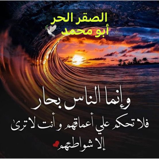 saad45397165's tweet photo. https://t.co/OE3R0Dg8dq