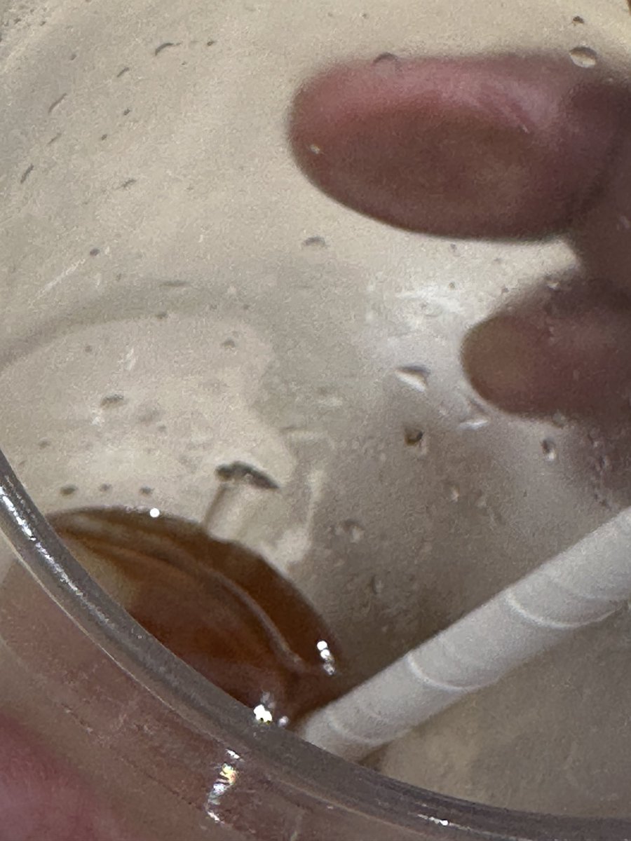 shivakrishna08's tweet photo. Very disappointed with my experience at Pizza Hut, AMB Mall, Hyderabad.

I found a cockroach in my Coke during my visit today. This is a serious food safety and hygiene concern. I have photos/videos and have informed the staff.

I hope @PizzaHutIndia investigates this incident https://t.co/47qNWBxDib
