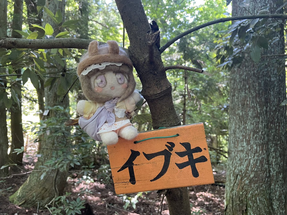 _____l_____I__'s tweet photo. ｲﾌﾞｷ
ｲﾜｽ https://t.co/esQpCghZhC