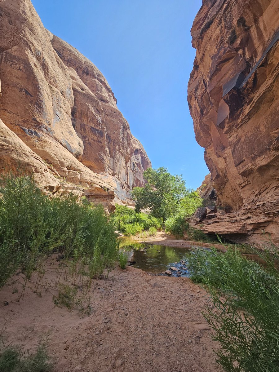 BeeSmoke_'s tweet photo. Day 3 / saw some nice views in Utah and drove into Arizona https://t.co/nYhpAIkR7Q