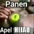 Ambakarok007's tweet photo. green apple di dimensi yang lain https://t.co/kc7FO08zBR