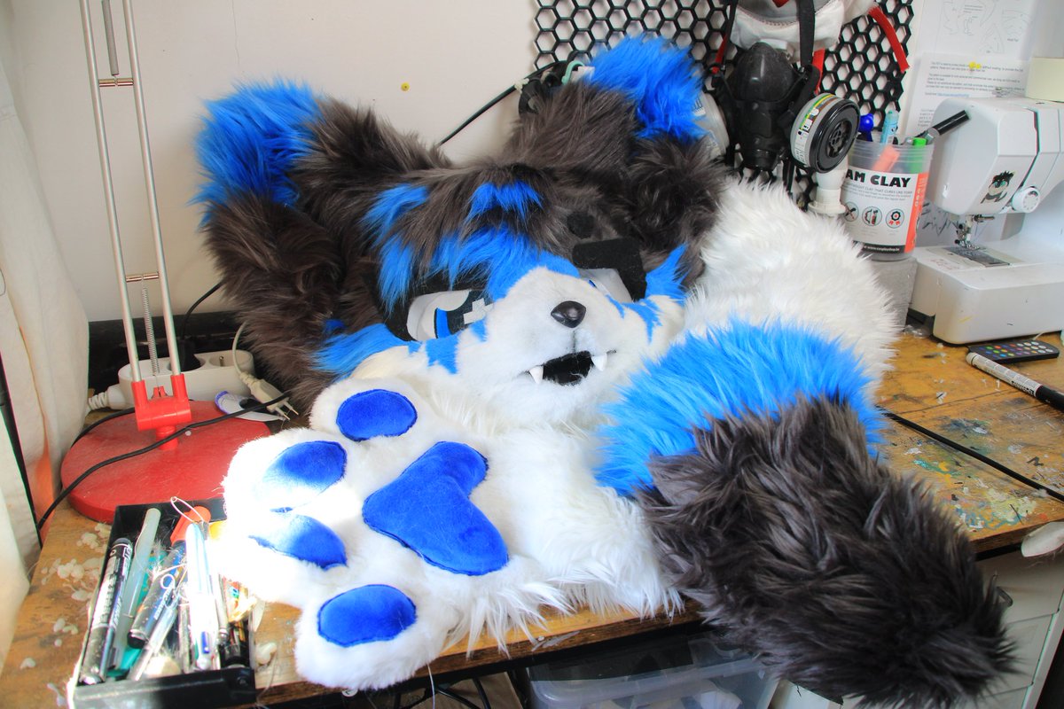 eurygrey's tweet photo. Trying to find a home for this one : 500€
#fursuit #fursuitforsale #fursuitmaker https://t.co/rBoSjd2wiO