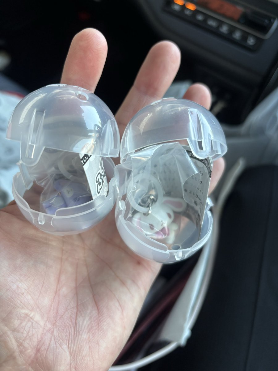 ShunLi901's tweet photo. やっと念願のシュガバニ🥺✨

開ける時、めっちゃ手が震えた😭💦 https://t.co/B0BqMh2cPY