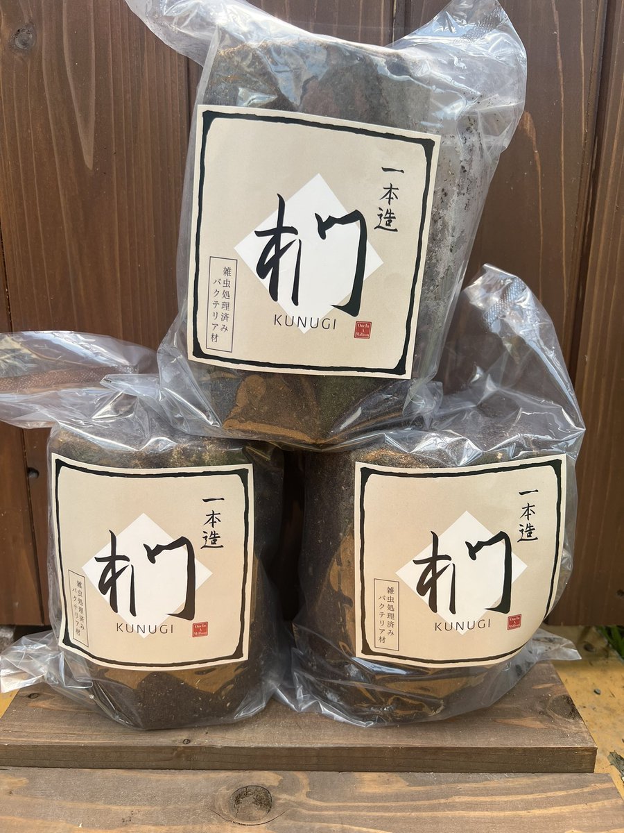 やふおく・BASE等では、大変良く売れています。バクテリア材 難産種にどうぞ。壱 バクテリア材「椚」 Lサイズ、 LLサイズをヤフオクに出品致しました