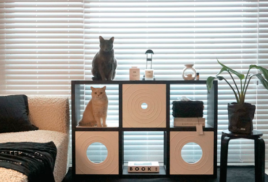ohousejp's tweet photo. ペットインテリアも諦めない！

▼テレビ台 キャットタワー 4x2 Cubics x Catple［7色］
https://t.co/NrgE1F1c0B

#今日のOhouse発見 https://t.co/gMnkltDgG9