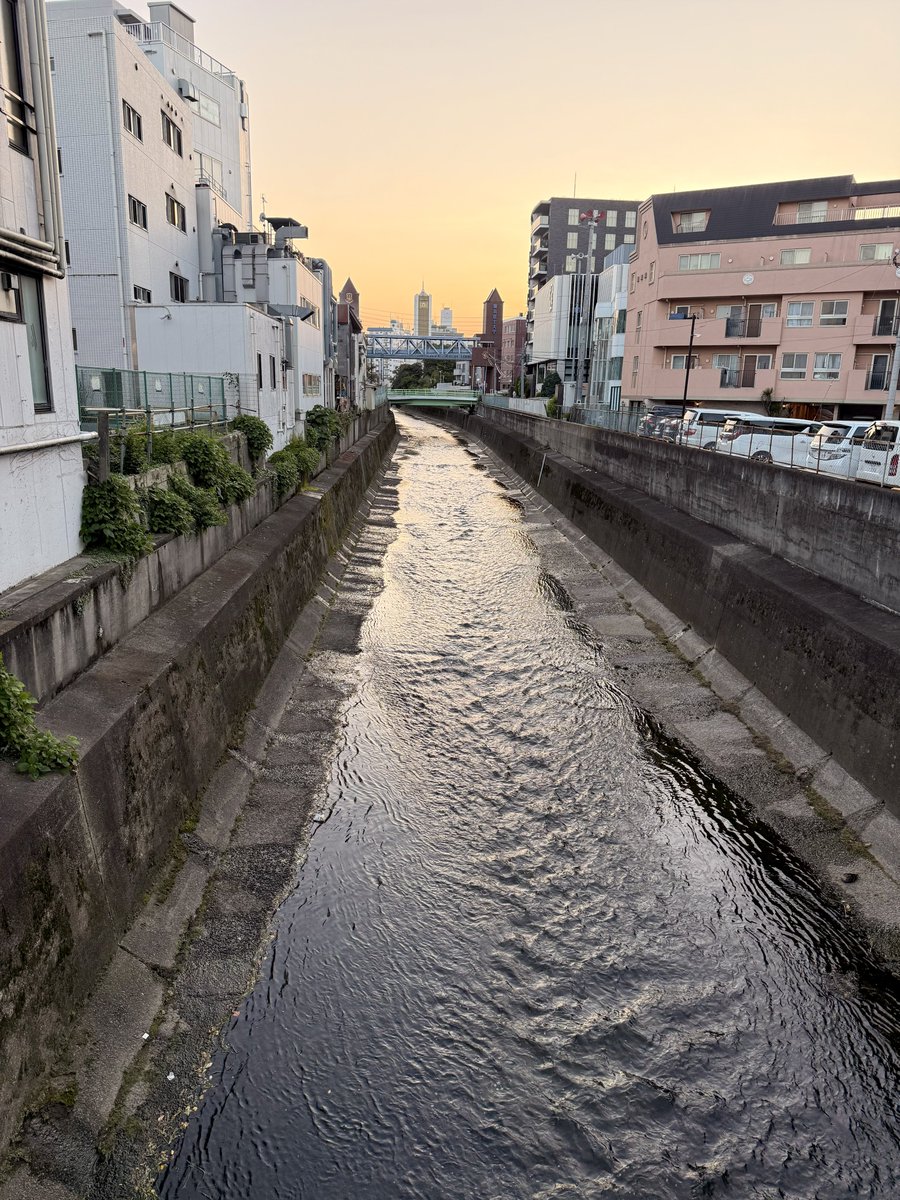 ogatomo29's tweet photo. 風が気持ち良くなってきました
今日の稽古場は川と白い花のある街です
#写真好きな人とつながりたい #イマソラ https://t.co/8lLQEQDNUS