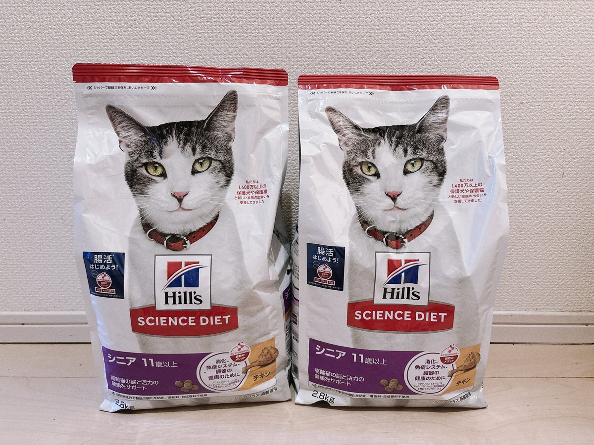 suzuokayu's tweet photo. ご報告遅くなってしまい申し訳ございません🙏🏻
猫フード2袋寄付が届いております！
とても助かります。ありがとうございます✨ https://t.co/etpwpAYese
