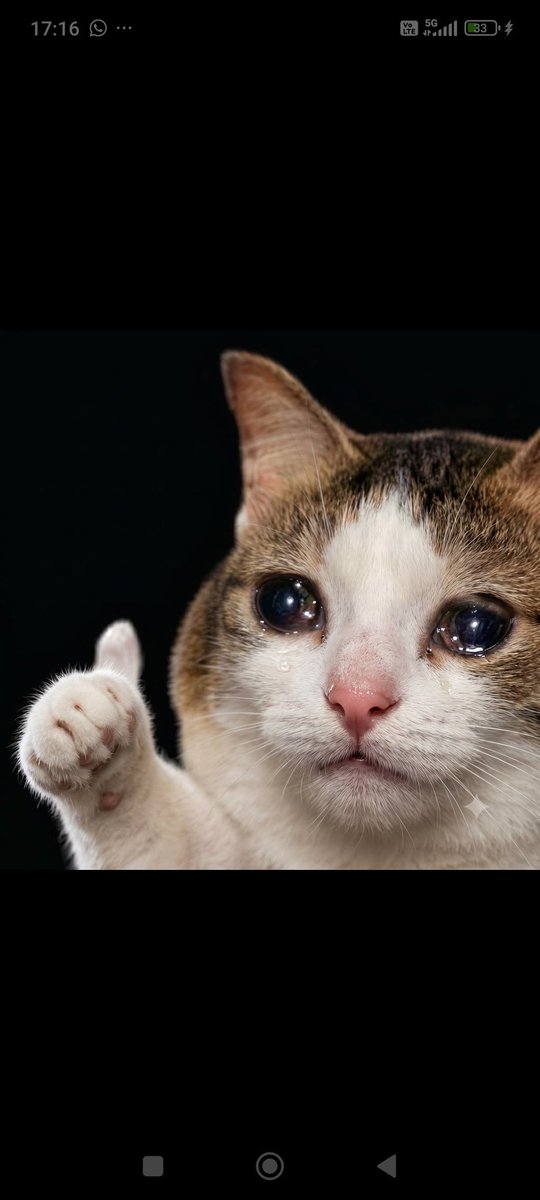 smythiest's tweet photo. we are $ok and ready for new ath https://t.co/rHpjJ9fCPv