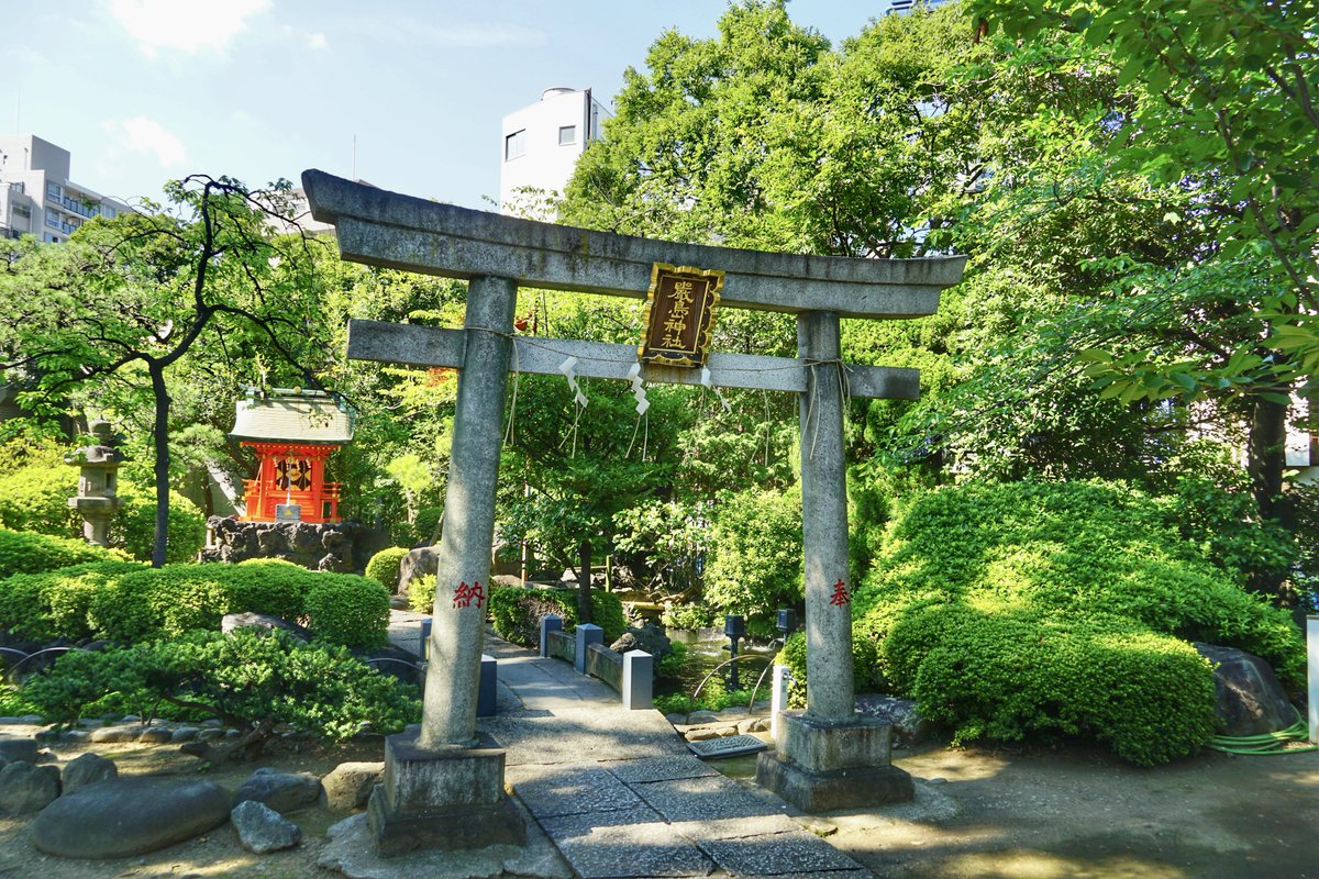 jinjamemo's tweet photo. 天祖諏訪神社。品川区南大井。
濱川総鎮守。

7月1日-8月31日まで授与の「夏詣特別御朱印」を頂きました。書き置きのみ。8月末までの授与ですがなくなり次第終了です。

天祖諏訪神社では初の夏詣御朱印。

なおJR東海が開催している「夏詣���タンプラリー」の対象神社です。東海道沿線の社寺を巡る夏詣スタンプラリー。集めたスタンプの数と種類に応じて様々な賞品や特典に応募できます。詳しくは公式サイトをご覧下さい。

https://t.co/NAGwTsY0G7

御朱印は他に「通常御朱印」と、年内授与の「令和八年嚴島神社特別御朱印」の用意があります。

オリジナル御朱印帳は当社の人気授与品である勝守から「勝」の文字、そして社紋が5色でデザインされています。この5色のカラーはいわゆる嵐カラー。

嵐と少し関係がある神社で当時は大変な人気で参拝者で溢れた事があります。2017年の事。TV番組『VS嵐』の企画「BABA嵐」で相葉くんが願掛けをした神社として取り上げられたのがきっかけ。当社の勝守を頂き番組内で強運を発揮した様子が放送されて以来、当時はファンの方々が殺到しました。

その後は勝守が大人気に。ですのでオリジナル御朱印帳もこっそり嵐カラーになっています。

��日の7月11日はその企画を引き継いだ『BABA抜き最弱王決定戦2026夏』が放送されるそうです。

.....

そんな天祖諏訪神社。その名の通り立会川を挟んで鎮座していた天祖神社と諏訪神社が戦後に合祀された神社です。現在は東海七福神の福禄寿を担います。

天祖神社は平安時代以前の創建とされている古社。大井村が成立以来の神社と伝えられていて、大井村の濱川町と上芝・下芝（元芝）といった一画の総鎮守でした。

一方で諏訪神社は大井村の濱川町にあった神社で、天祖神社とは立会川を挟む形で鎮座していました。

大井村の濱川町は村民たちによって北濱川と南濱川で分けられていたようで、北濱川に鎮座していたのが諏訪神社で、南濱川に鎮座していたのが天祖神社です。

この両社の間に架けられていた橋は現在の浜川橋。通称・泪橋��なみだばし）。

泪橋と呼ばれていた由来は当地の先にあった鈴ヶ森刑場が関わってきます。220年の間に10万人から20万人もの罪人が処刑されたと言われ���刑場。

江戸から鈴ヶ森刑場に向かうには近くの立会川にかかる浜川橋を渡る必要がありました。すなわちこの橋は罪人にとっては現世との最後の別れの場。親族や関係者にとっては罪人との今生の別れの場となった橋。
 お互いがこの橋の上で泪を流したことか、「泪橋」と呼ばれるようになったと伝わります。

※ちなみにこうした泪橋は江戸北の刑場であった小塚原刑場にもありまして、そちらは漫画『あしたのジョー』の舞台としても有名です。

こうした泪橋を挟む形で鎮座していた両社ですが合祀されるのは戦後のこと。昭和四十年（1965）、天祖神社の改築に伴って諏訪神社を合祀。現在の「天祖諏訪神社」となりました。

境内には立派な弁天池の厳島神社があります。創建時から鎮座していたそうで鯉も泳ぎ美しいエリアです。

ぜひ参拝してみてください。
#御朱印 #限定御朱印