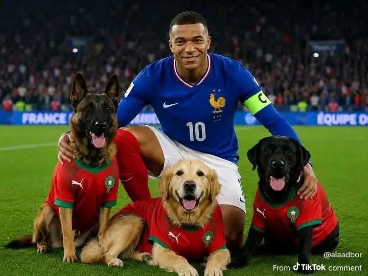 Gerhardtjetzt's tweet photo. @Sifaw111990 الكلاب لن تكون أسود مهما كبر حجمها تذكر هذا جيداً https://t.co/8qRth9dl7u