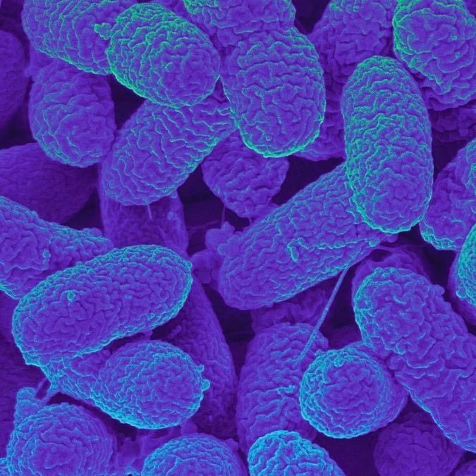 GlobeEyeNews's tweet photo. Deadly bacteria found in the US city’s Cheyenne, Wyoming, water system traced to Mark Zuckerberg’s data center. https://t.co/XGqZOJZPGA
