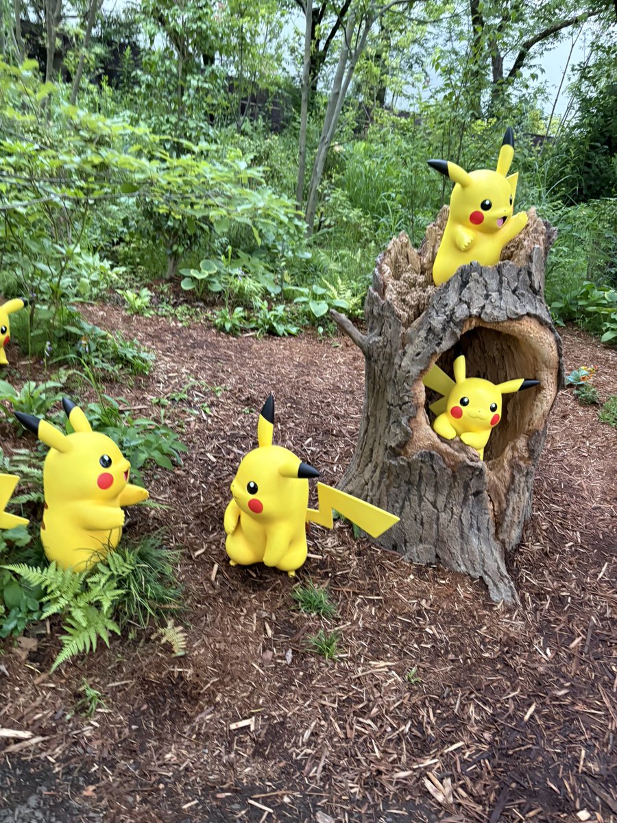 mon_chi0701's tweet photo. さすがにポケパーク幸せ空間すぎた⚡️ https://t.co/AziYv1qahY