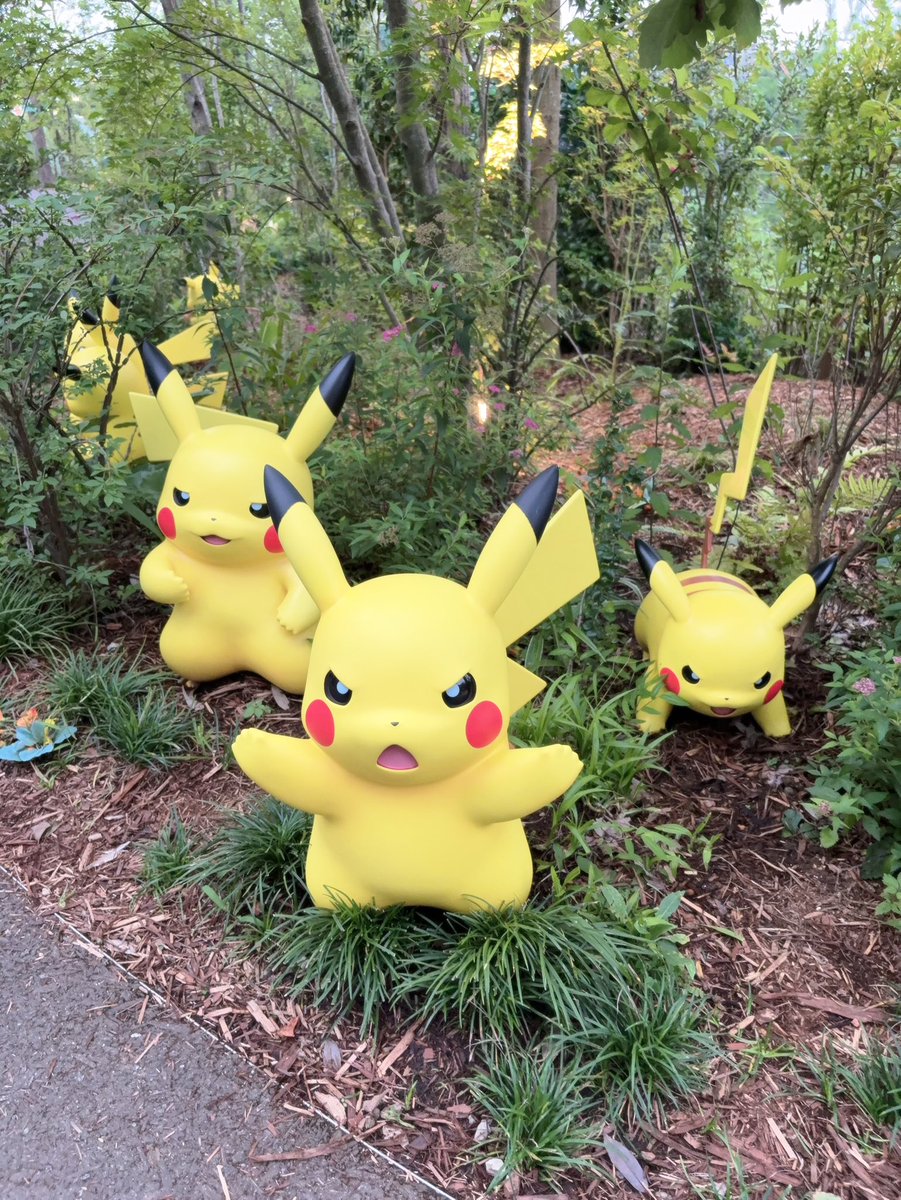 mon_chi0701's tweet photo. さすがにポケパーク幸せ空間すぎた⚡️ https://t.co/AziYv1qahY