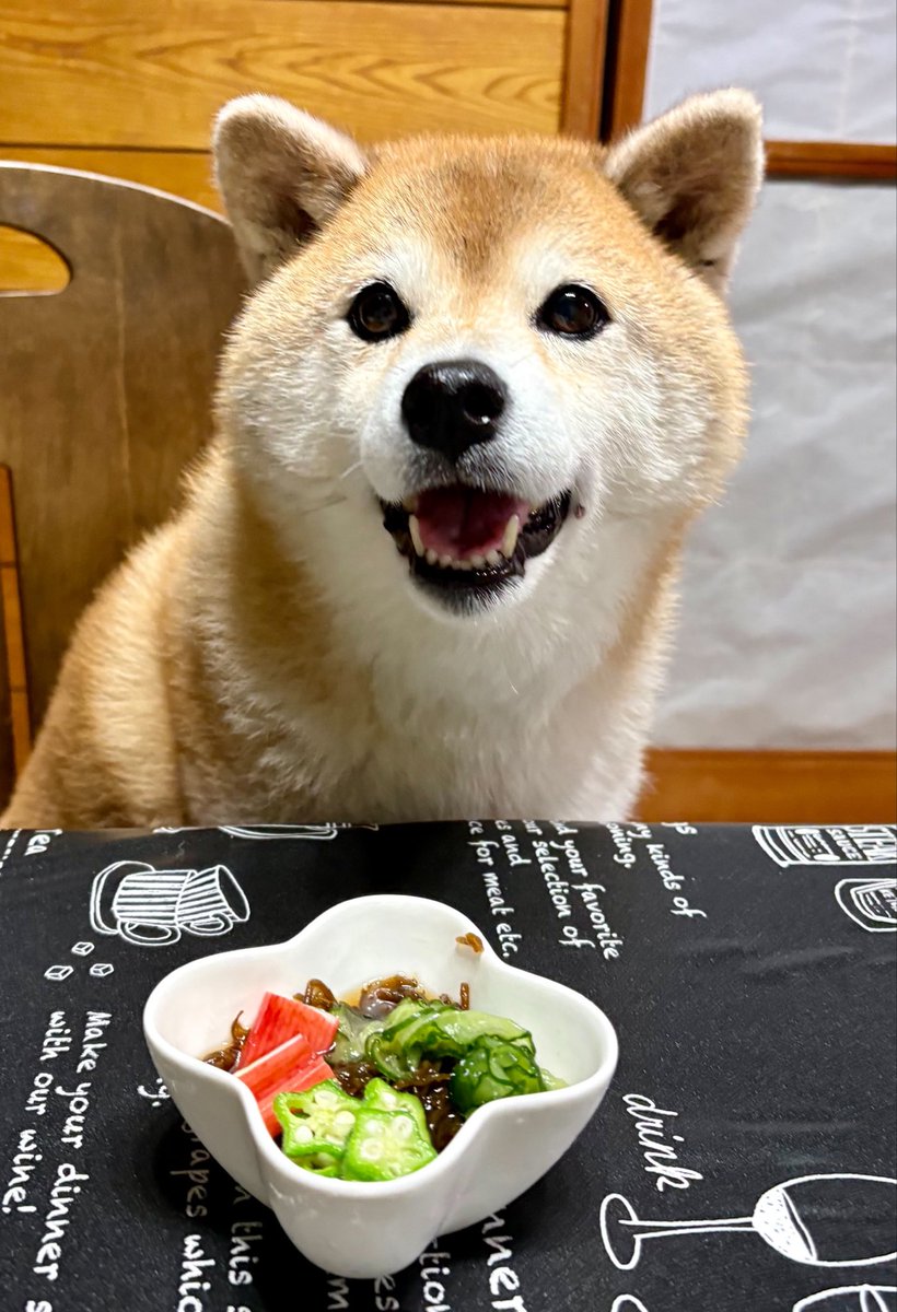 diary09998120's tweet photo. お通しよ~！🐕🥢
#柴犬 https://t.co/Nt0Cv4JsMd