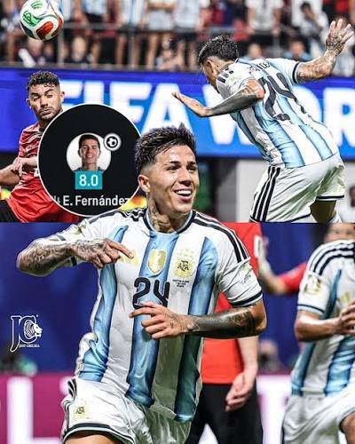 MichaelS_CFC's tweet photo. Enzo scoring World Cup winners. Gusto with France. Reece James with England. Penders with Belgium. Palmer getting ready for pre-season.

Chelsea literally have players in EVERY quarterfinal.

Tell me again which club runs world football right now. 🔵🌍 

#CFC #WorldCup2026 https://t.co/Fy44ZwM6vt