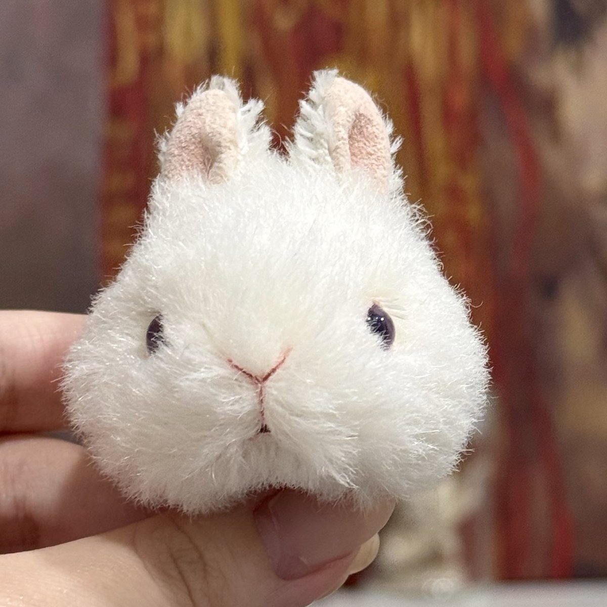 Bonita Rabbits🐰 (@rui0104457516) / Posts / X