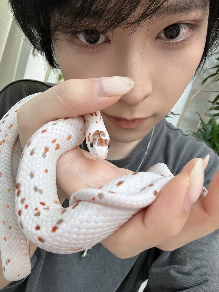 BU_TA00's tweet photo. 귀염뱀아 https://t.co/S5S4E07U6o