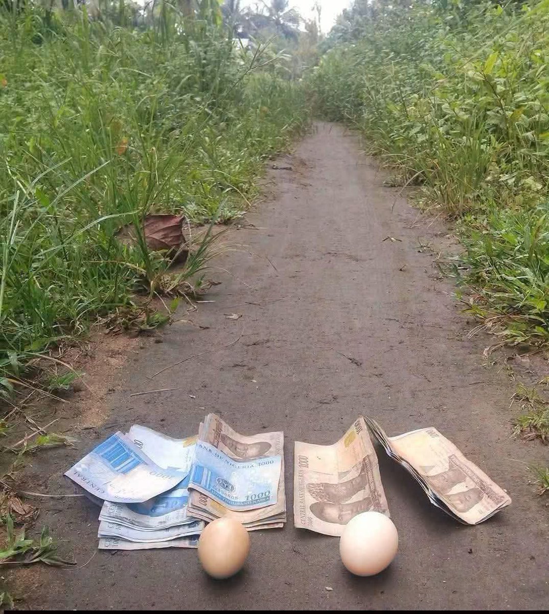 AgbaBoiz's tweet photo. Be honest if you see this money 💰 will you take it 🫣🫣 https://t.co/FSdVIR1kog