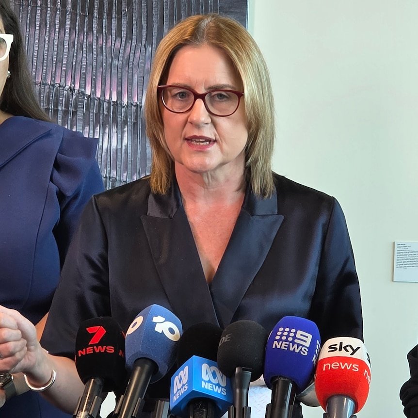 ThoughtGuardian's tweet photo. Jacinta Allan Promises To Fast-Track Citizenship For 200,000 New Indian Migrants Just In Time For The State Election https://t.co/zpordQJeJF