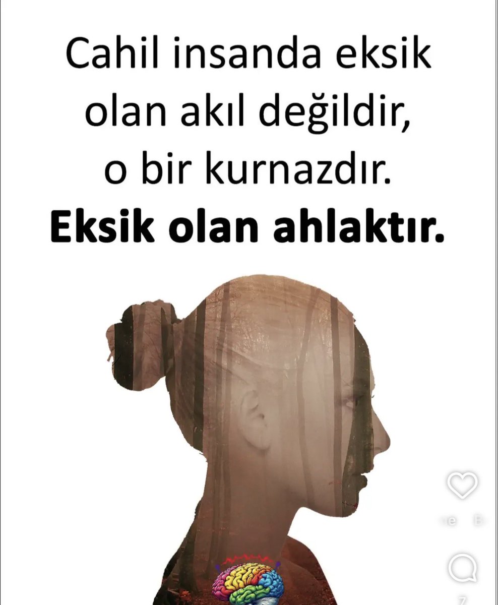 iyigeldii's tweet photo. https://t.co/i9USdRUSx1