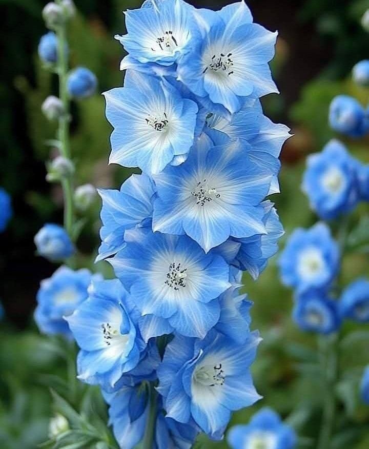 Xfocuspoint's tweet photo. https://t.co/uGWTykDqGi