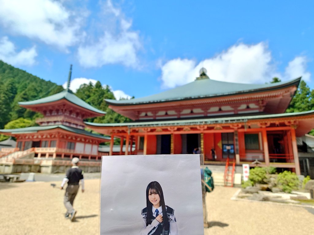 iEspafmr's tweet photo. 東塔と阿弥陀堂
#わんまん通訳ガイド 
#世界遺産 
#山口陽世 
#鶴崎仁香 https://t.co/gKz6QfCFEV