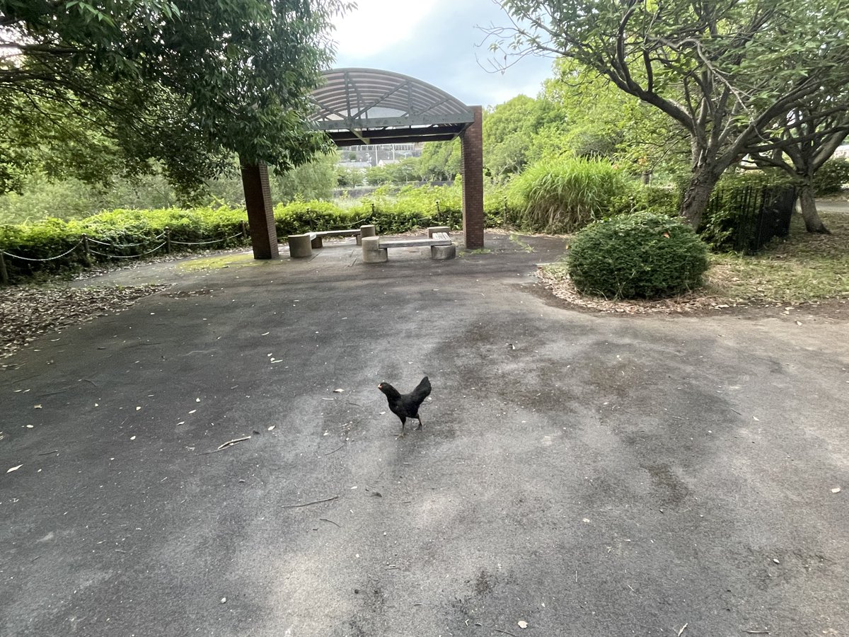 GrFa_F's tweet photo. なんで公園にこんなの居るんだよ https://t.co/kxsCAzQ7gZ