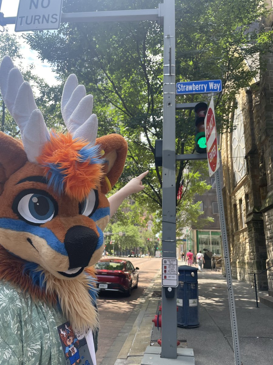 Pine! 🌲 🔜 Furpoc, ANE, FE? tweet media